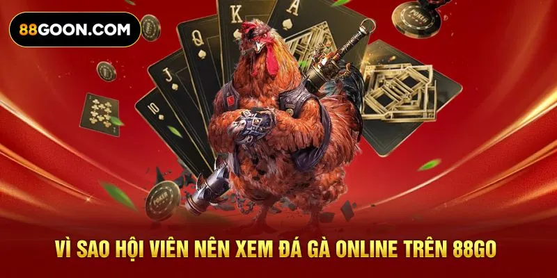 Vì sao hội viên nên xem đá gà online trên 88GO